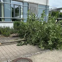 Einsatz_07_06_2024.jpg
